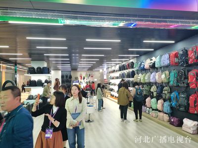創(chuàng)新驅(qū)動與全球視野 2023中國·白溝國際箱包博覽會開幕紀(jì)實(shí)